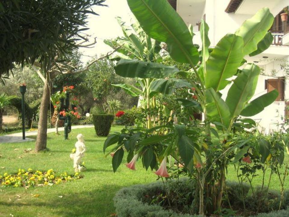 Garten Haus des Gartens / Pension Nikos