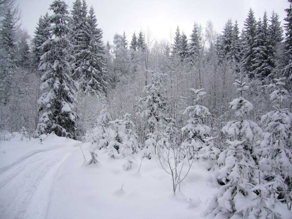 Landschaft Ferienanlage Säfsen