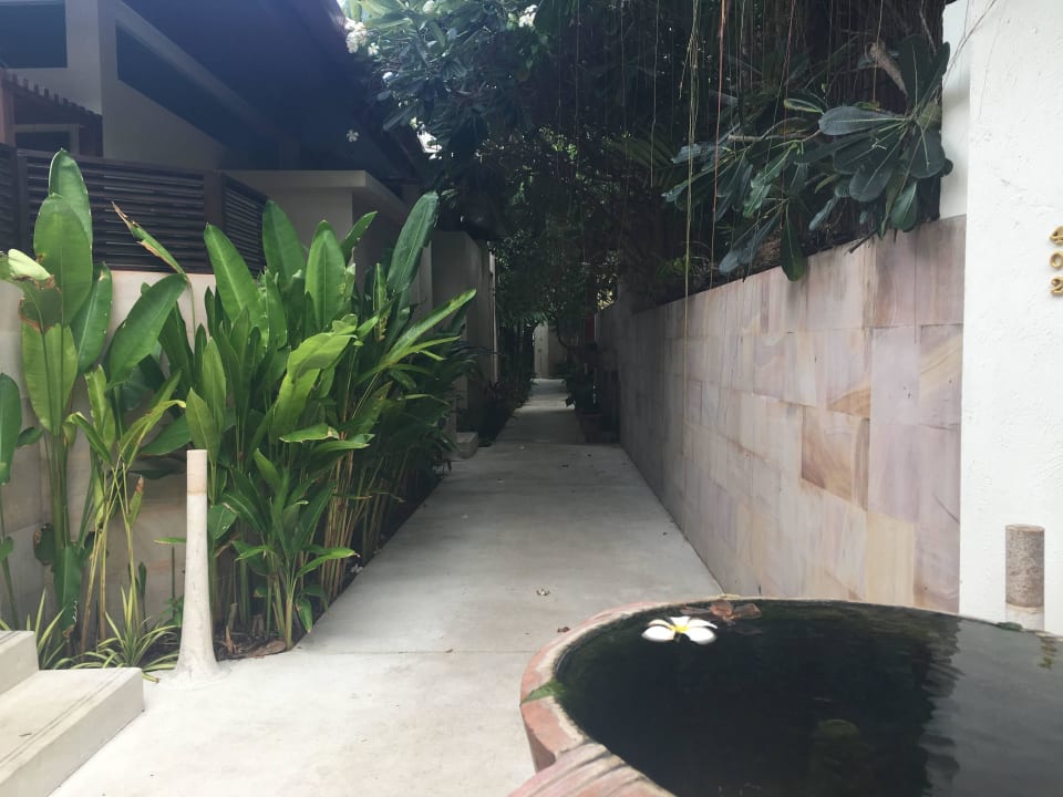 Bungalow AVANI+ Samui Resort