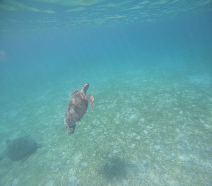 Sport & Freizeit Kuredu Island Resort & Spa