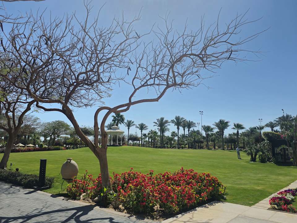 Gartenanlage Steigenberger ALDAU Beach Hotel