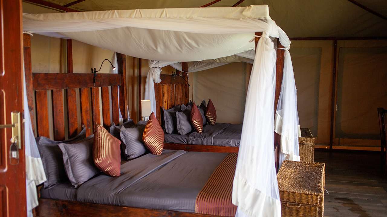 Zimmer Serengeti Safari Lodge