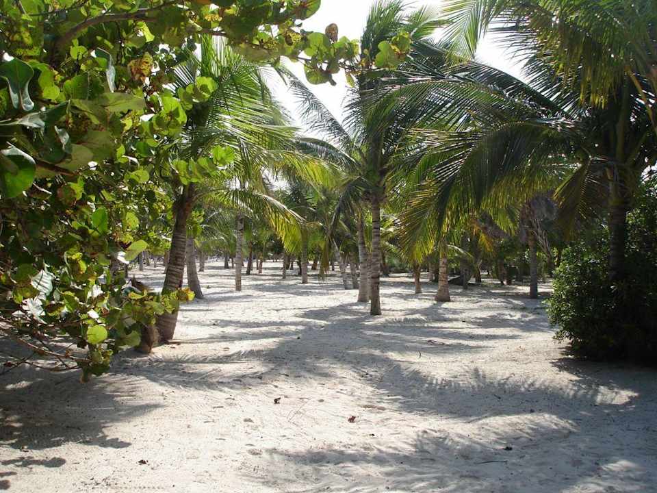 Strand Grand Palladium Colonial Resort & Spa