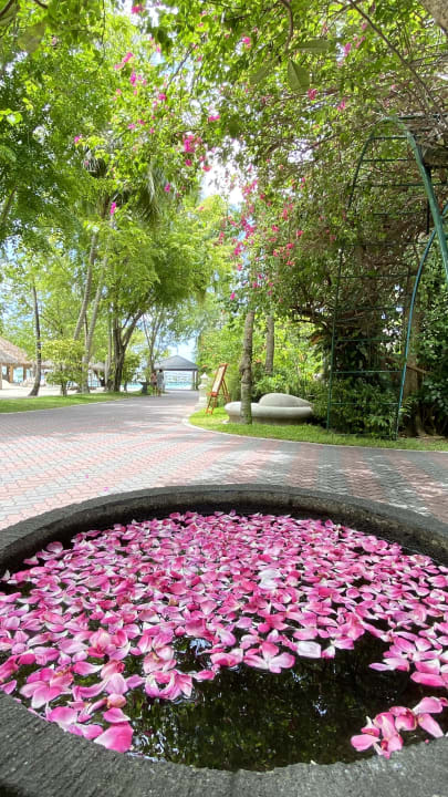 Gartenanlage Villa Park Sun Island