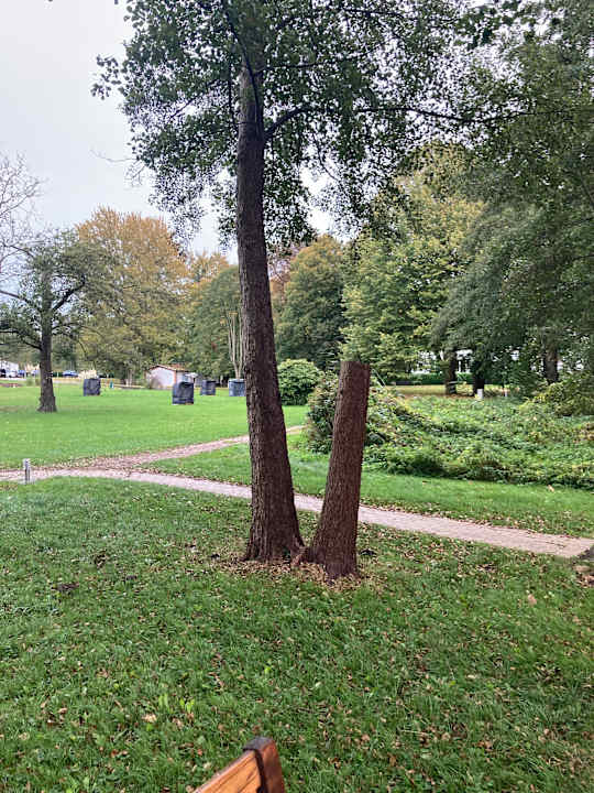 Außenansicht Seehotel Frankenhorst - BW Signature Collection