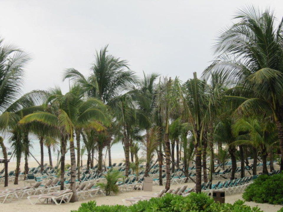 Plaża Catalonia Playa Maroma