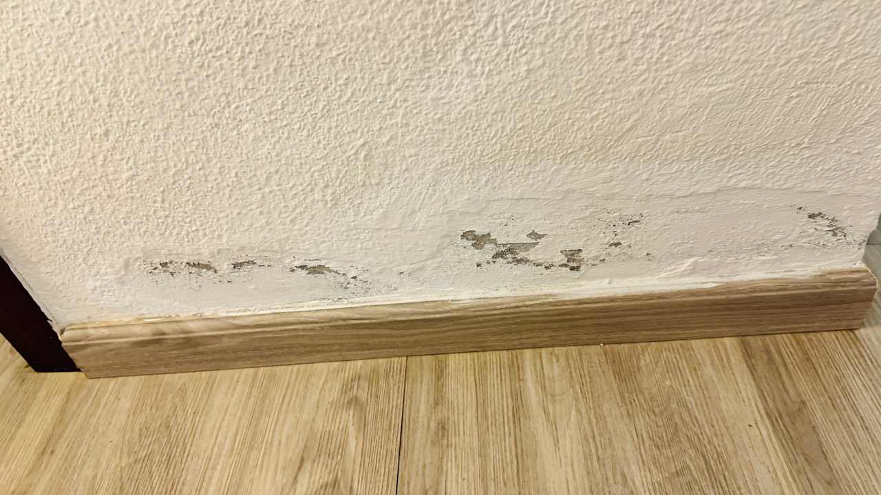 Zimmer SBH Hotel Taro Beach