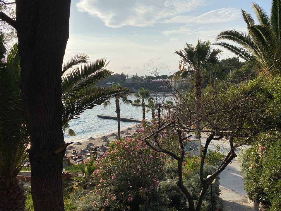 Gartenanlage Hotel Pine Bay Holiday Resort