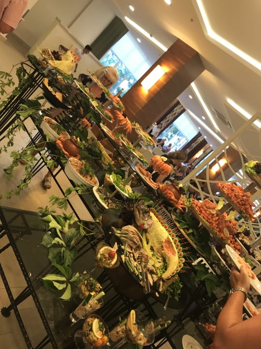 Gastro Paloma Oceana