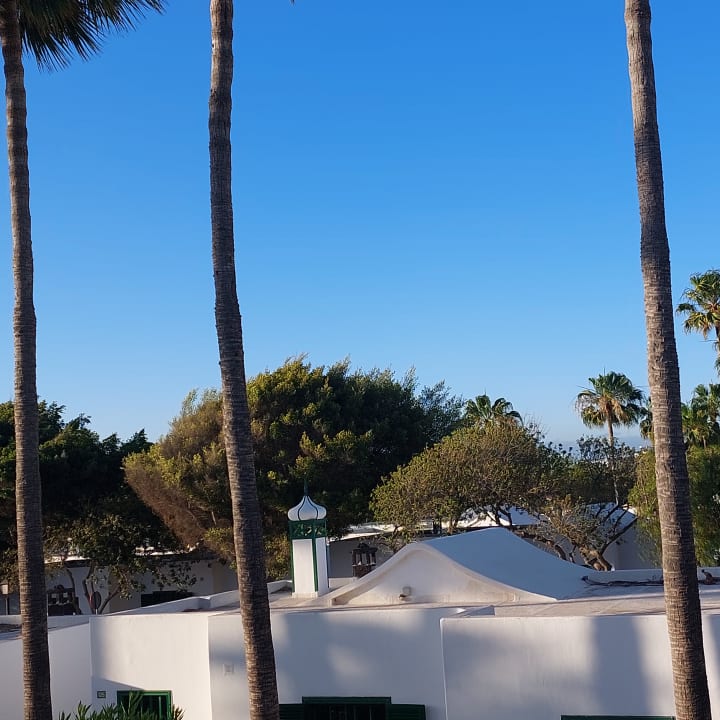 Gartenanlage Hotel Hyde Park Lane