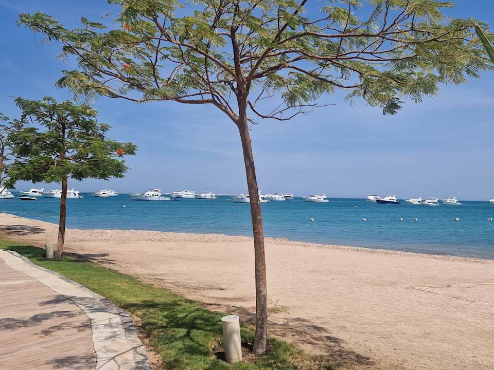 Strand The Grand Palace - Adults only