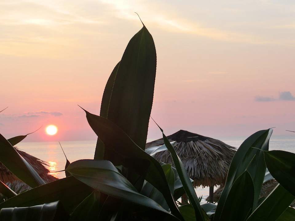 Farbspiel eines Sonnenuntergangs Starfish Cuatro Palmas