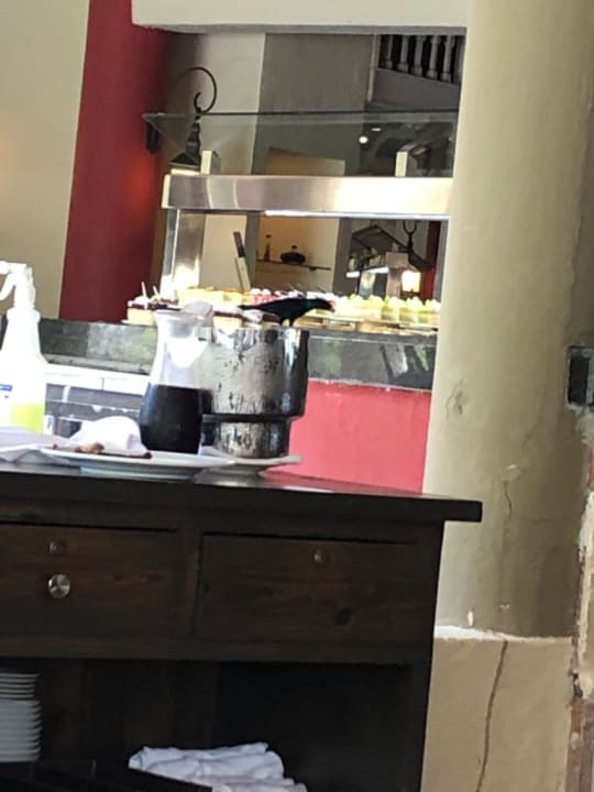 Gastro Catalonia Royal La Romana - Adults only