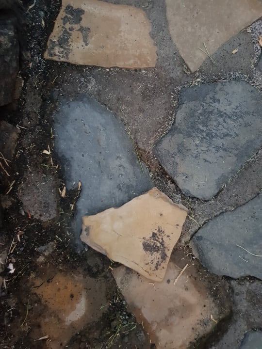 Gartenanlage Melia La Palma Hotel