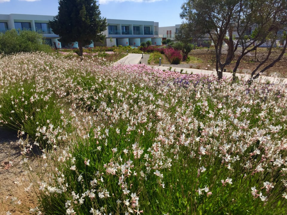 Gartenanlage Gennadi Grand Resort