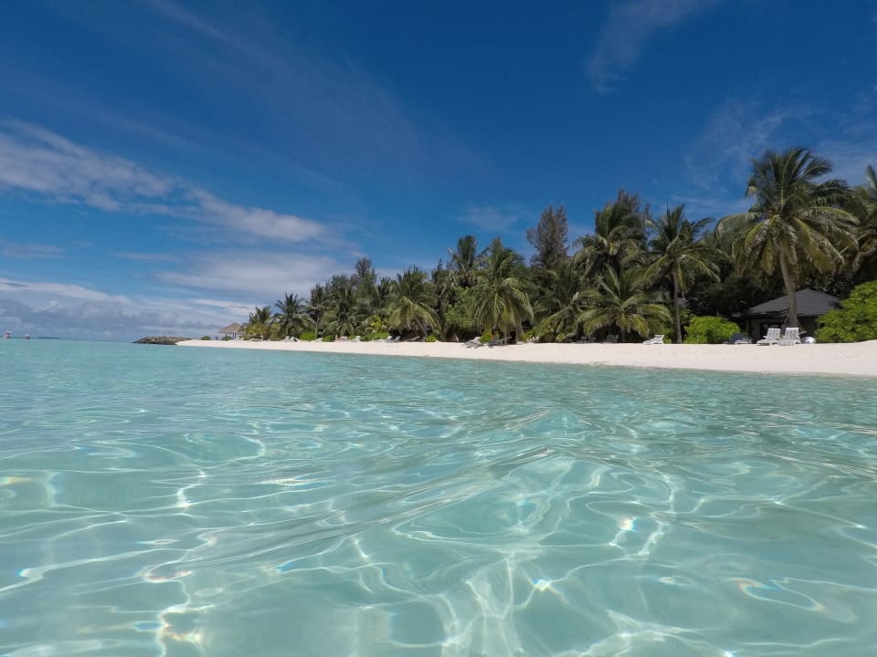 Strand Summer Island Maldives