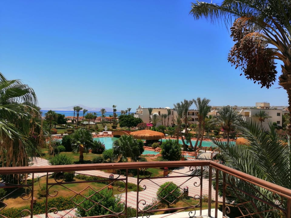 Ausblick Regency Plaza Aqua Park & Spa