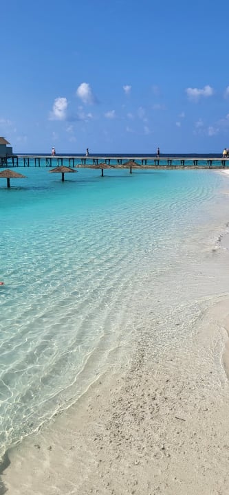 Strand Centara Ras Fushi Resort & Spa Maldives