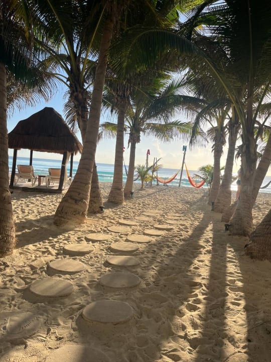 Strand Hotel Flamingo Cancun Resort