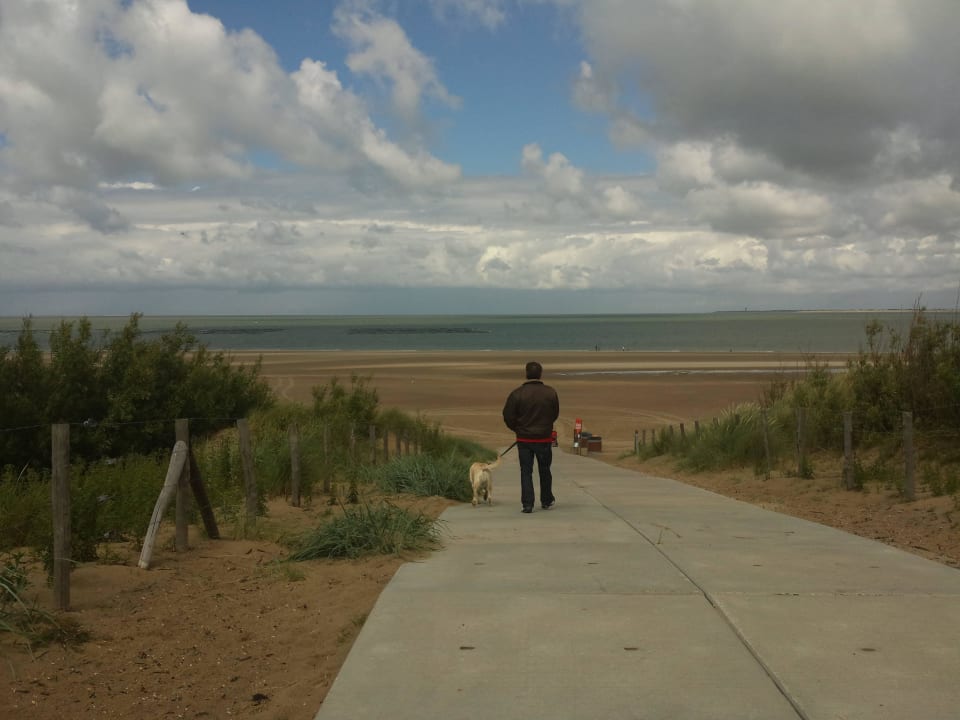 Strand Roompot De Soeten Haert