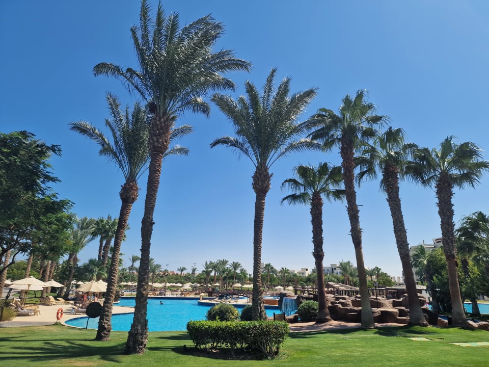 Gartenanlage Steigenberger ALDAU Beach Hotel