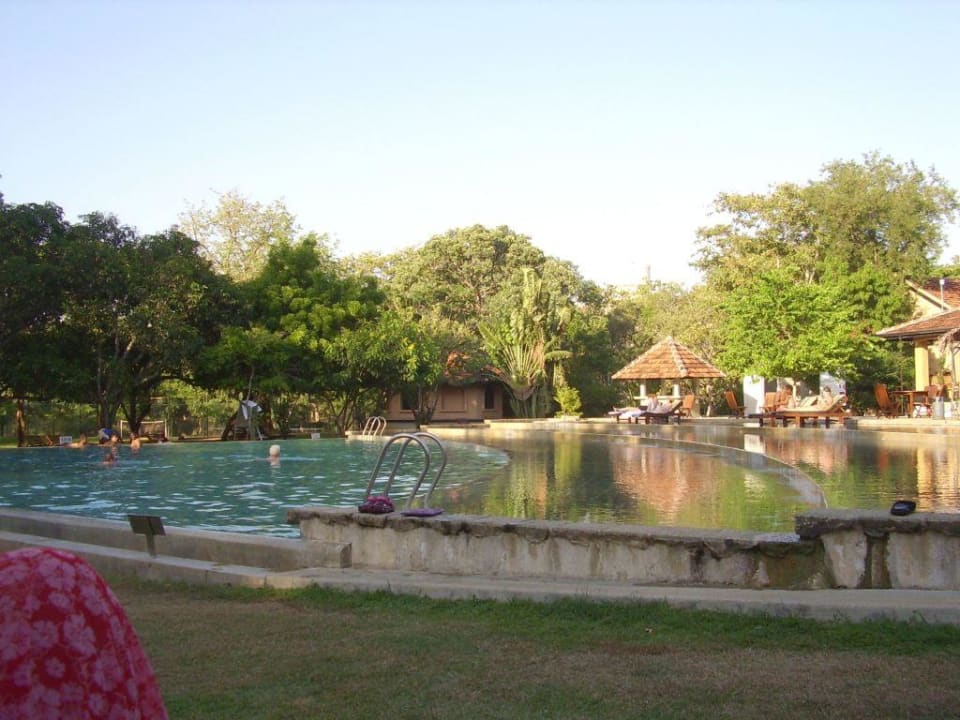Blick auf den Pool Habarana Village by Cinnamon