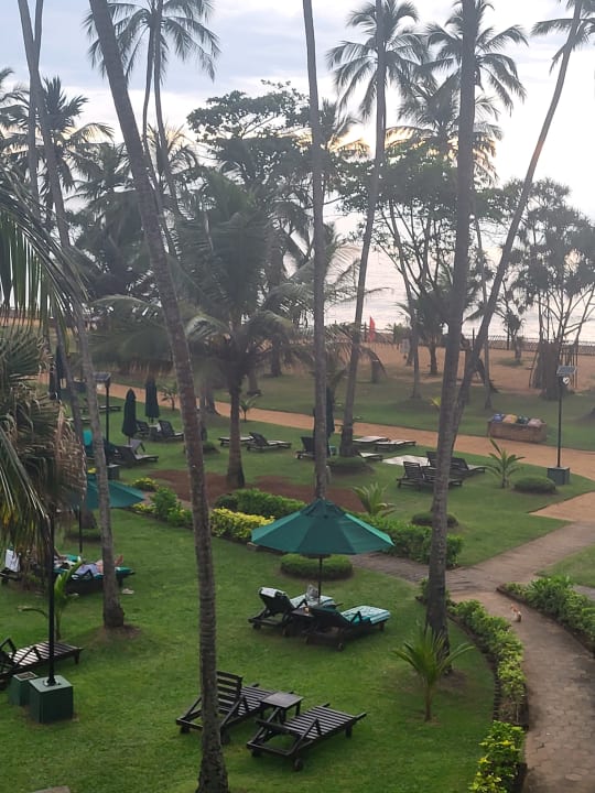 Gartenanlage Royal Palms Beach Hotel