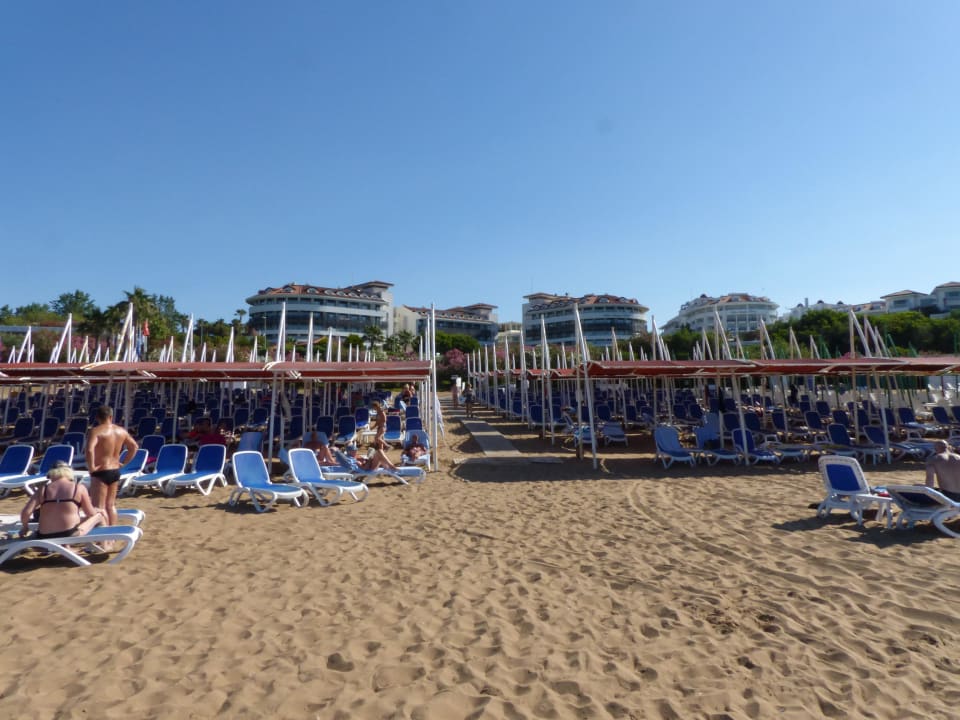 Am Stand  Alba Queen Hotel