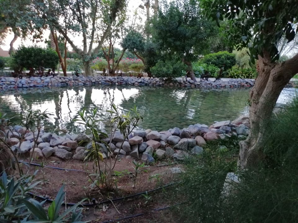 Gartenanlage Grand Makadi