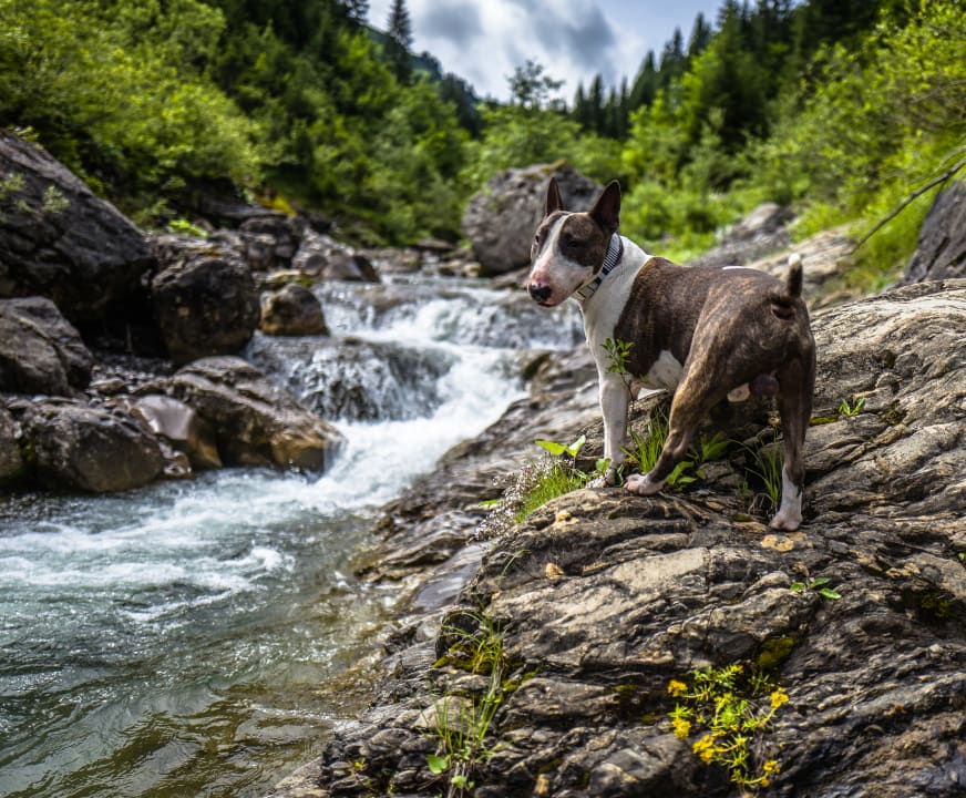 Ausblick Ski- und Aktivhotel Almhof Rupp