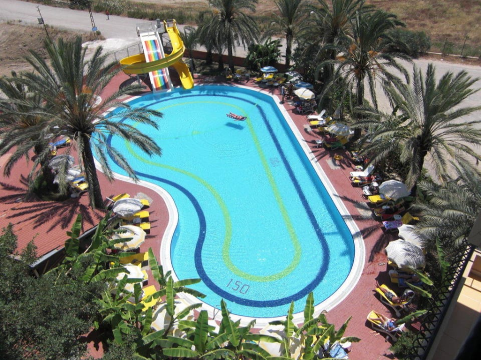 Blick auf den Pool Hotel Palm d'Or