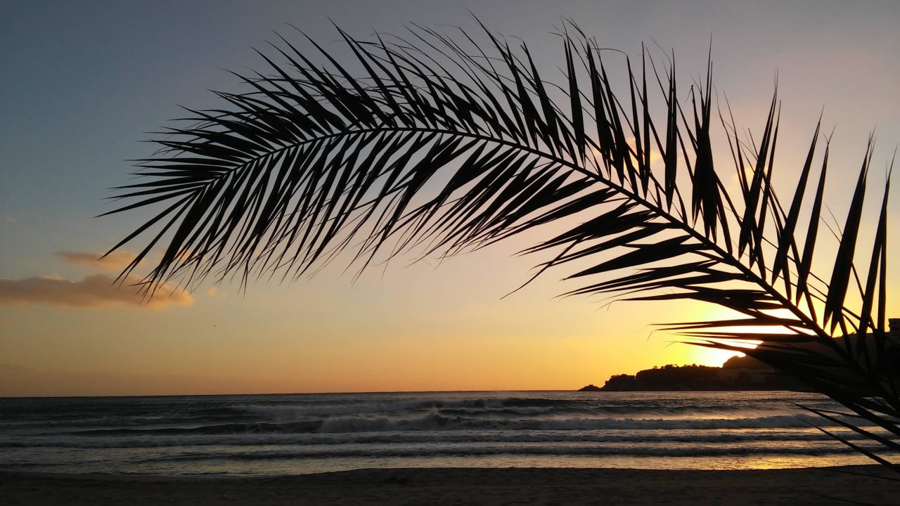 Strand - Top! Valentin Reina Paguera