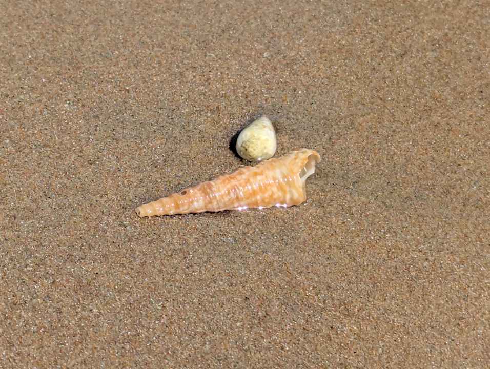 Strand Pickalbatros Dana Beach Resort - Hurghada
