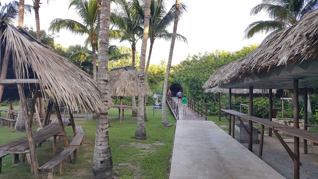 Wege zum Strand Melia Las Antillas - Adults only