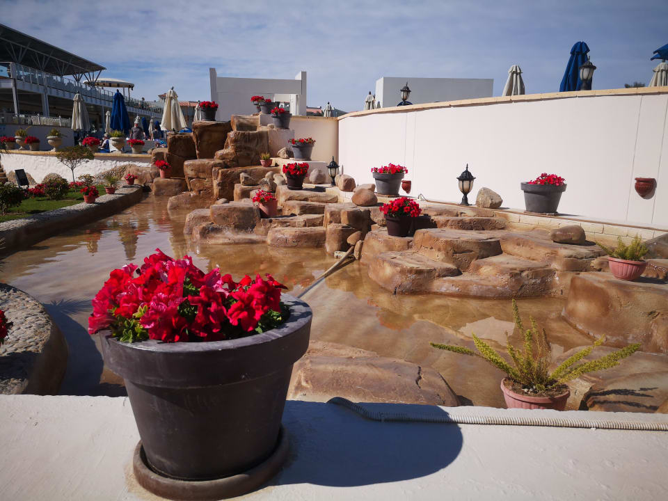 Gartenanlage Pickalbatros Dana Beach Resort - Hurghada