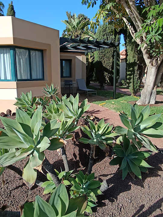 Außenansicht allsun Hotel Esplendido