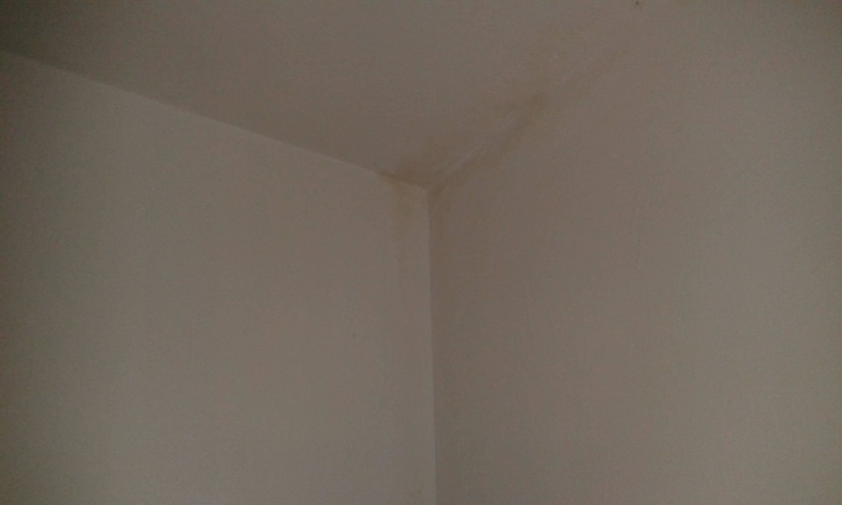 Schimmelflecken unter Lack Ferienhaus Lahnblick