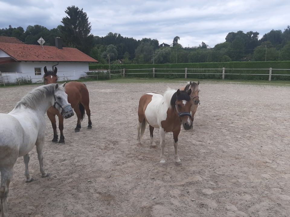 Sport & Freizeit Ferienhof Mühlthal