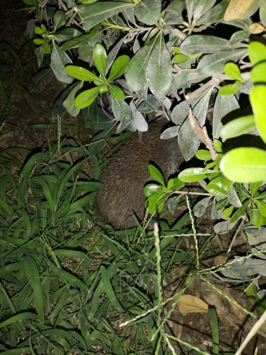 Sonstiges Hotel Gardenia Beach