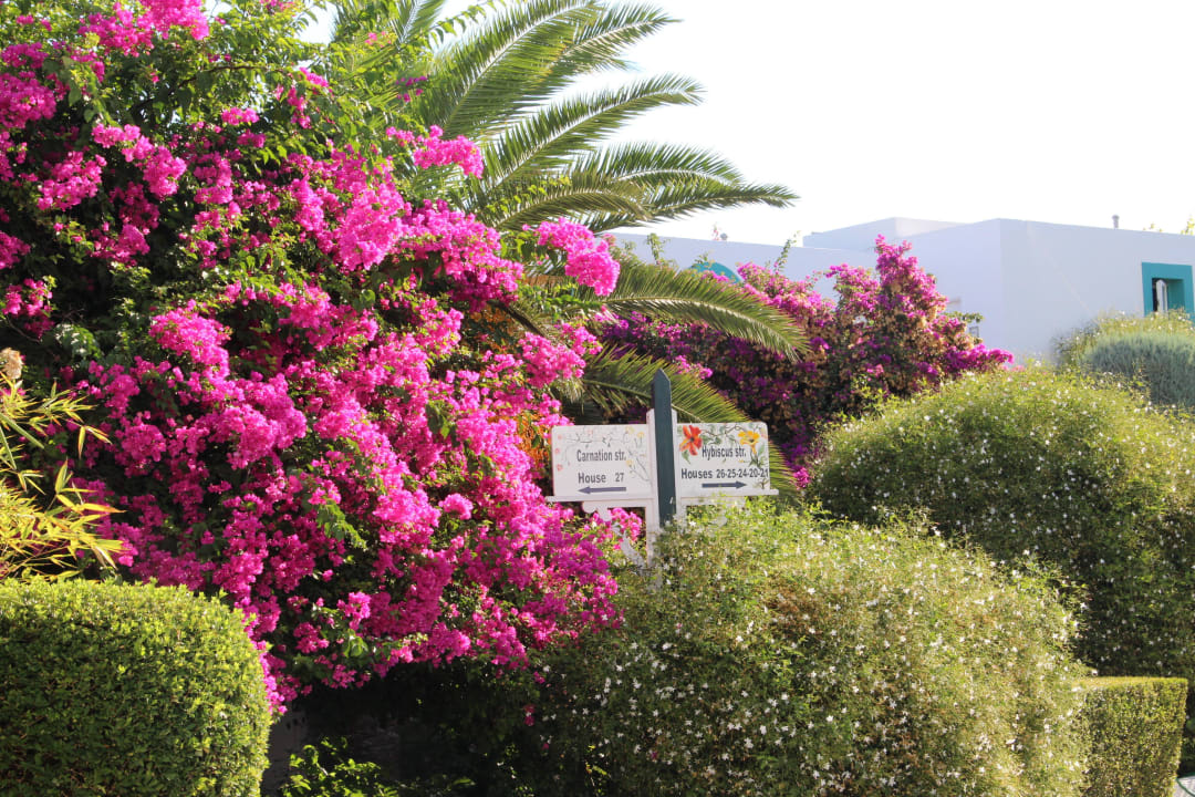 Jardin Mastichari Bay Hotel