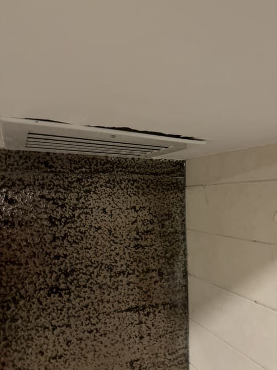 Zimmer Crystal Prestige Elite