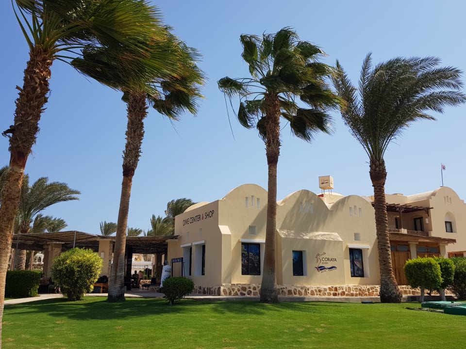 Sport & Freizeit Jaz Dar EL Madina