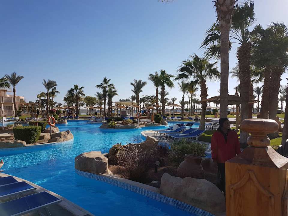 Pool Pickalbatros Palace Resort