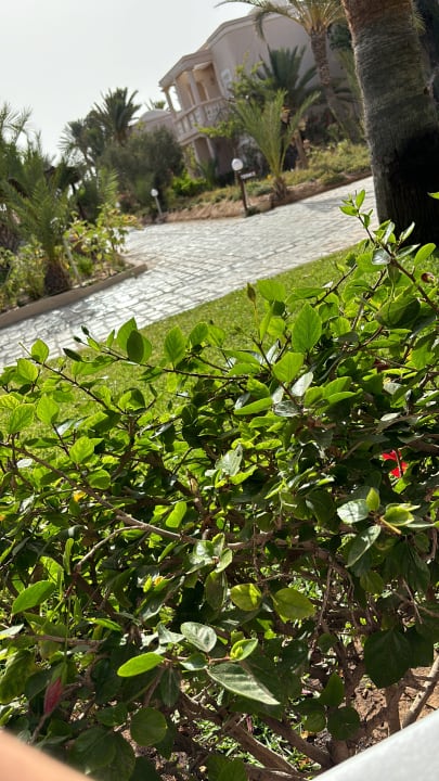 Außenansicht Zita Beach Resort