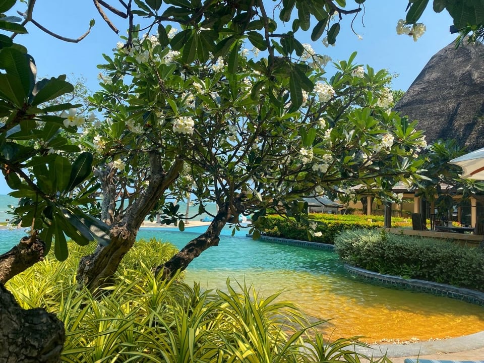 Pool Mövenpick Asara Resort & Spa Hua Hin