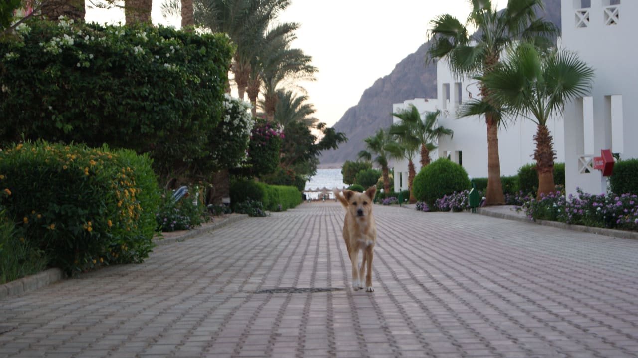 Ogród Happy Life Village