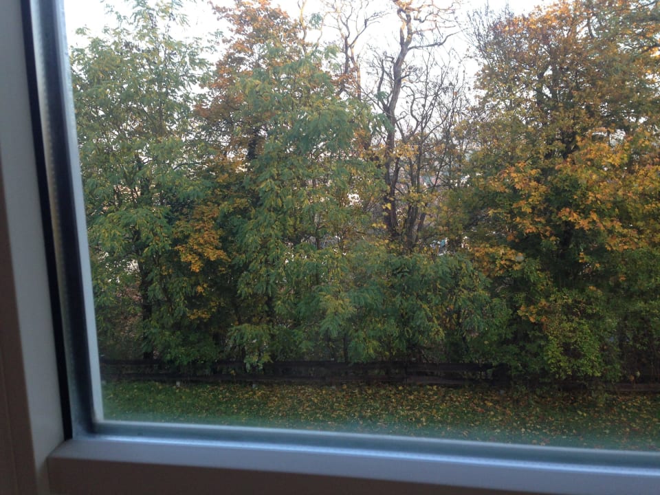 Blick richtung Tal Kauzenburg