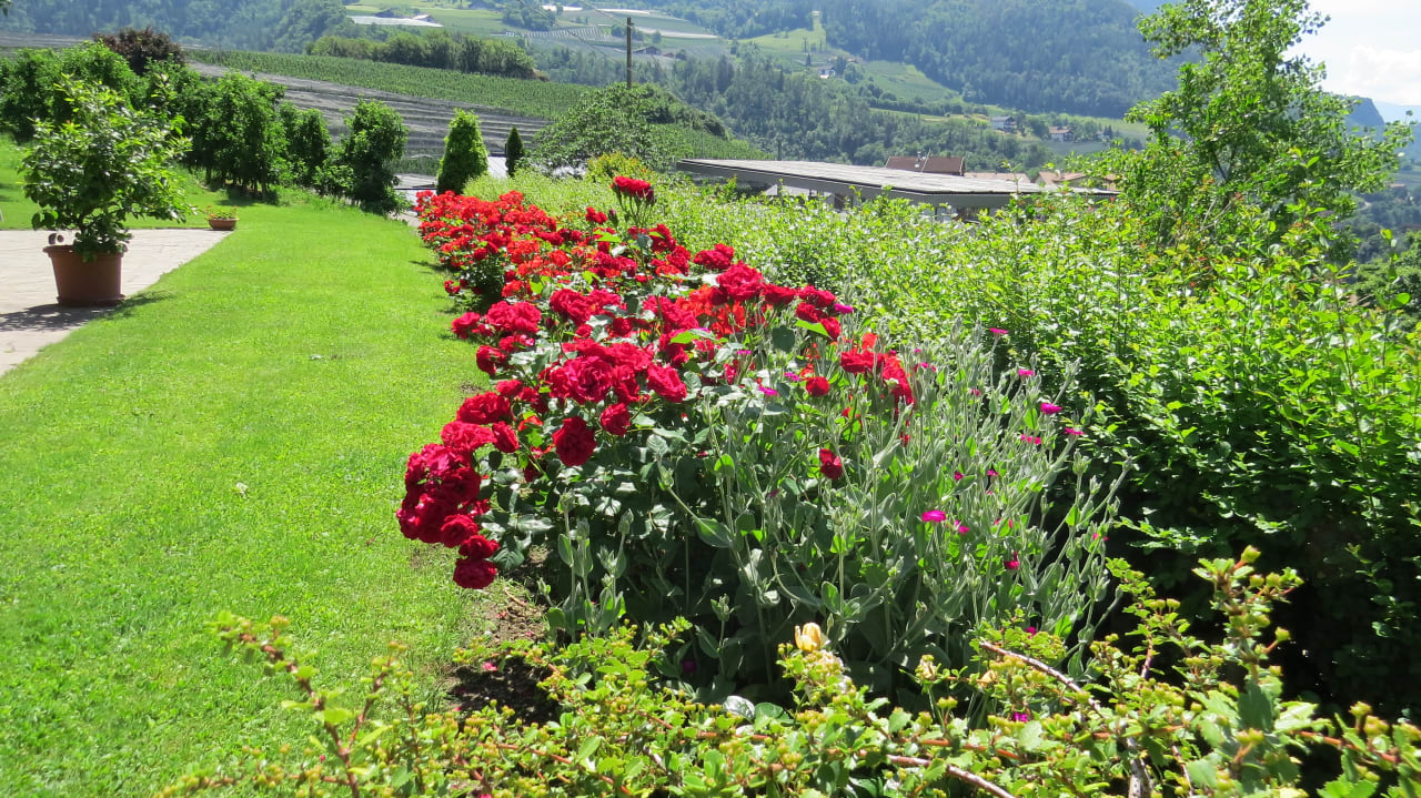 Gartenanlage Garni Pluner