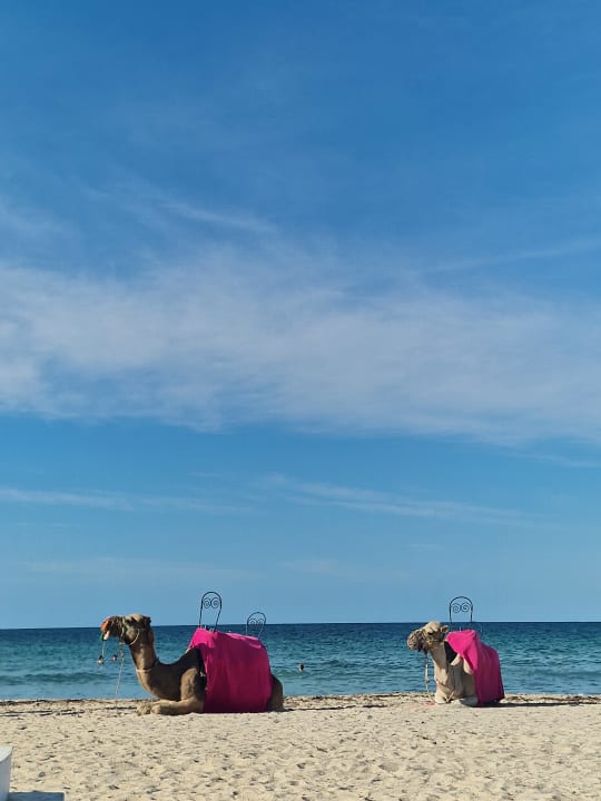 Strand Welcome Meridiana Djerba Hotel
