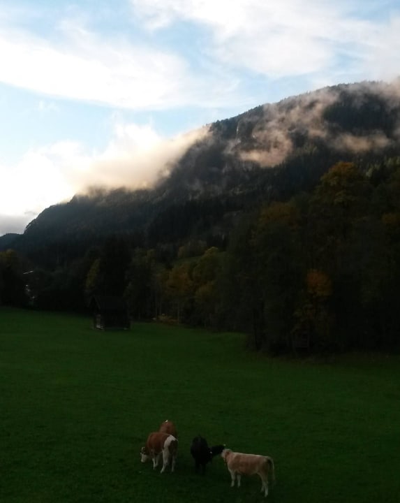 Ausblick Pension Waidmannsruh